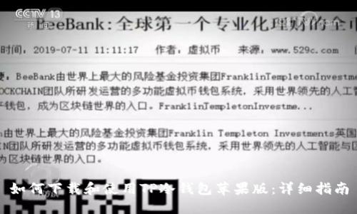如何下载和使用TP冷钱包苹果版：详细指南