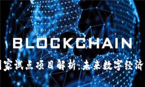 区块链国家试点项目解析：未来数字经济的助推器