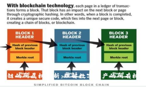 : 区块链的所属权解析：理解数字资产的所有权与价值