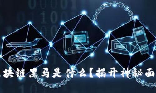 区块链黑马是什么？揭开神秘面纱