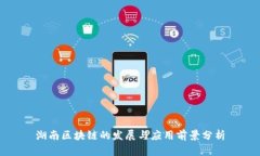 湖南区块链的发展与应用前景分析
