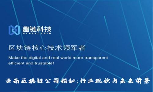 云南区块链公司揭秘：行业现状与未来前景