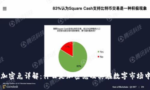 区块链加密兔详解：什么是加密兔及其在数字市场中的作用