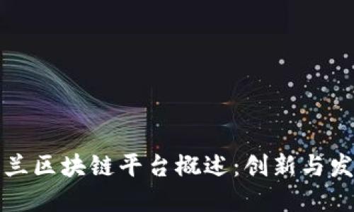 波兰区块链平台概述：创新与发展