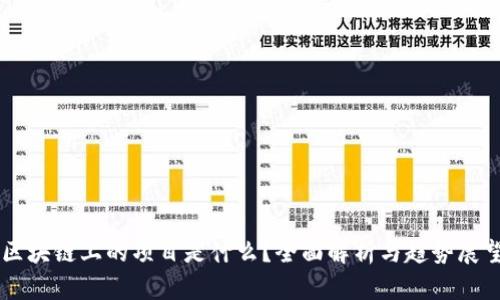 区块链上的项目是什么？全面解析与趋势展望