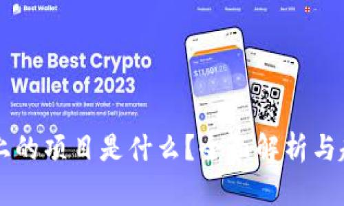区块链上的项目是什么？全面解析与趋势展望