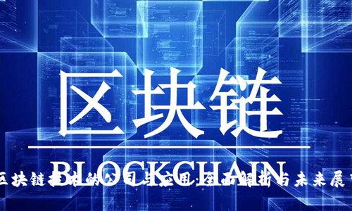 区块链技术的公司与应用：全面解析与未来展望