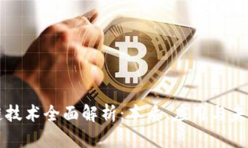 区块链技术全面解析：本质、应用与未来发展