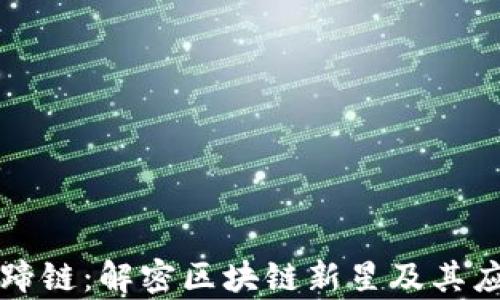 
区块马蹄链：解密区块链新星及其应用前景