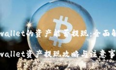 tpwallet的资产能否提现：全面解析tpwallet资产提现