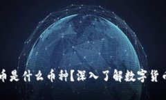 区块链币是什么币种？深入了解数字货币的未来