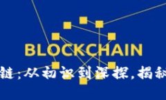 东北人讲区块链：从初识到深探，揭秘这一科技