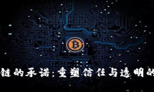 区块链的承诺：重塑信任与透明的未来