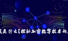 区块链到底是什么？探秘加密数字技术的存储与
