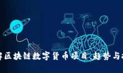 深入了解区块链数字货币项目：趋势与投资前景