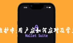 TPWallet维护中：用户应如何应对及常见问题解答
