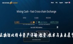 区块链比特币资产详解：投资、技术与未来展望