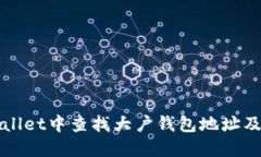 如何在TPWallet中查找大户钱包地址及其持币情况