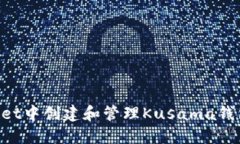 如何在TPWallet中创建和管理Kusama钱包：一步步指导