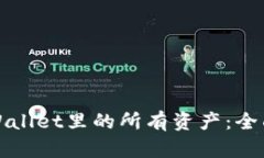 如何查看TPWallet里的所有资产：全面指南与技巧