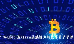 探秘TP Wallet：在Terra区块链上的数字资产管理新境