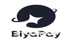 tpwallet提币需要多久？揭秘提币流程与注意事项