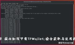 ## 国内如何下载TPWallet：安全获取与使用指南