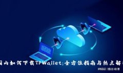 国内如何下载TPWallet：全方位指南与热点解析