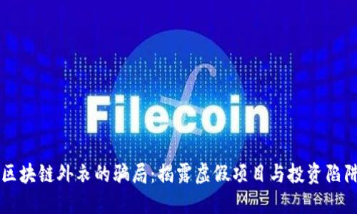 区块链外衣的骗局：揭露虚假项目与投资陷阱