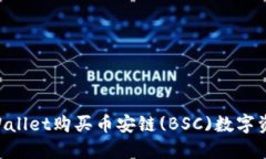 如何通过TPWallet购买币安链(BSC)数字资产：详尽指