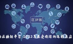 强大的区块链平台：2023年最受欢迎的选择与应用