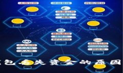 tpwallet钱包丢失资金的原因及解决方案