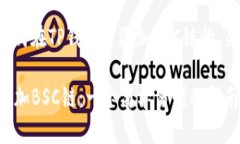 以下是一个关于如何在TP钱包中添加BSC链的、关键