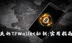 如何找回丢失的TPWallet秘钥：实用指南与应对措施