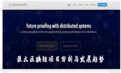 最火区块链项目分析与发展趋势