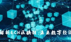 ### 深入解析ECH区块链：未来数字经济的中流砥柱