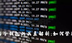 tp母钱包与子钱包的关系解析：如何管理加密资产