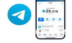 TPWallet转账ETH不足？详解解决方案与常见问题