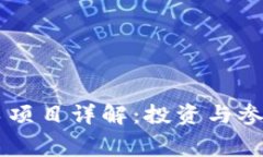 TPWallet赛车项目详解：投资与参与的完整指南