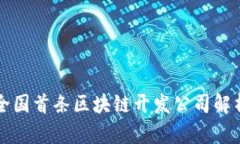 全国首条区块链开发公司解析