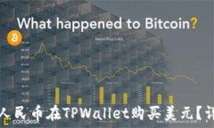   如何用人民币在TPWallet购买美元？详尽指南