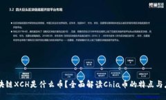 区块链XCH是什么币？全面解读Chia币的特点与应用