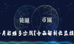 tpwallet一个月能赚多少钱？全面解析收益模式与投