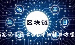 : TPWallet密码忘记了怎么办？详细解决方案与常见