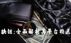 瑞金正规区块链：全面解析其平台特点与应用前