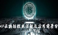 DMP区块链技术详解及应用前景分析