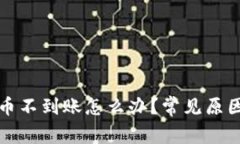 tpwallet充币不到账怎么办？常见原因与解决方案