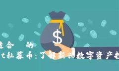接近且适合  的  tpwallet私募币：了解新兴数字资
