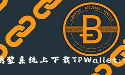 如何在鸿蒙系统上下载TPWallet：详细指南
