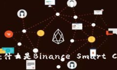 深入探讨BSC：什么是Binance Smart Chain及其功能